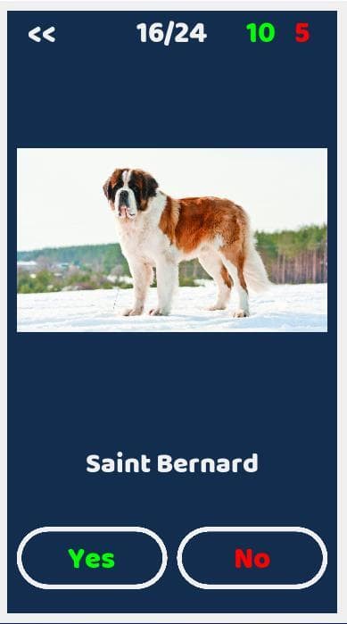 Dogs Quiz screenshot 4