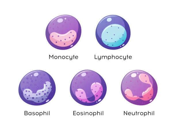 Immuno Game Learning 1.2
