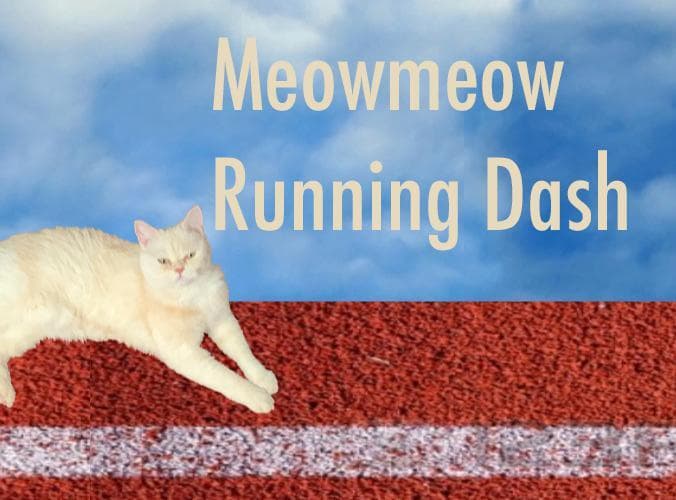 Meowmeow Running Dash