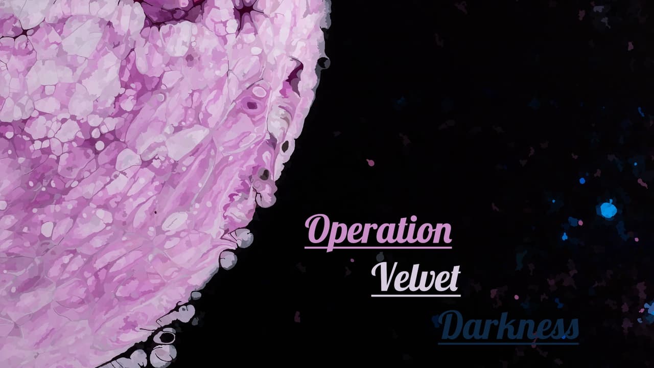 Operation Velvet Darkness