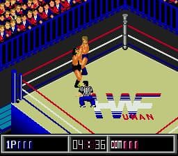 Thunder Pro Wrestling Retsuden screenshot 5