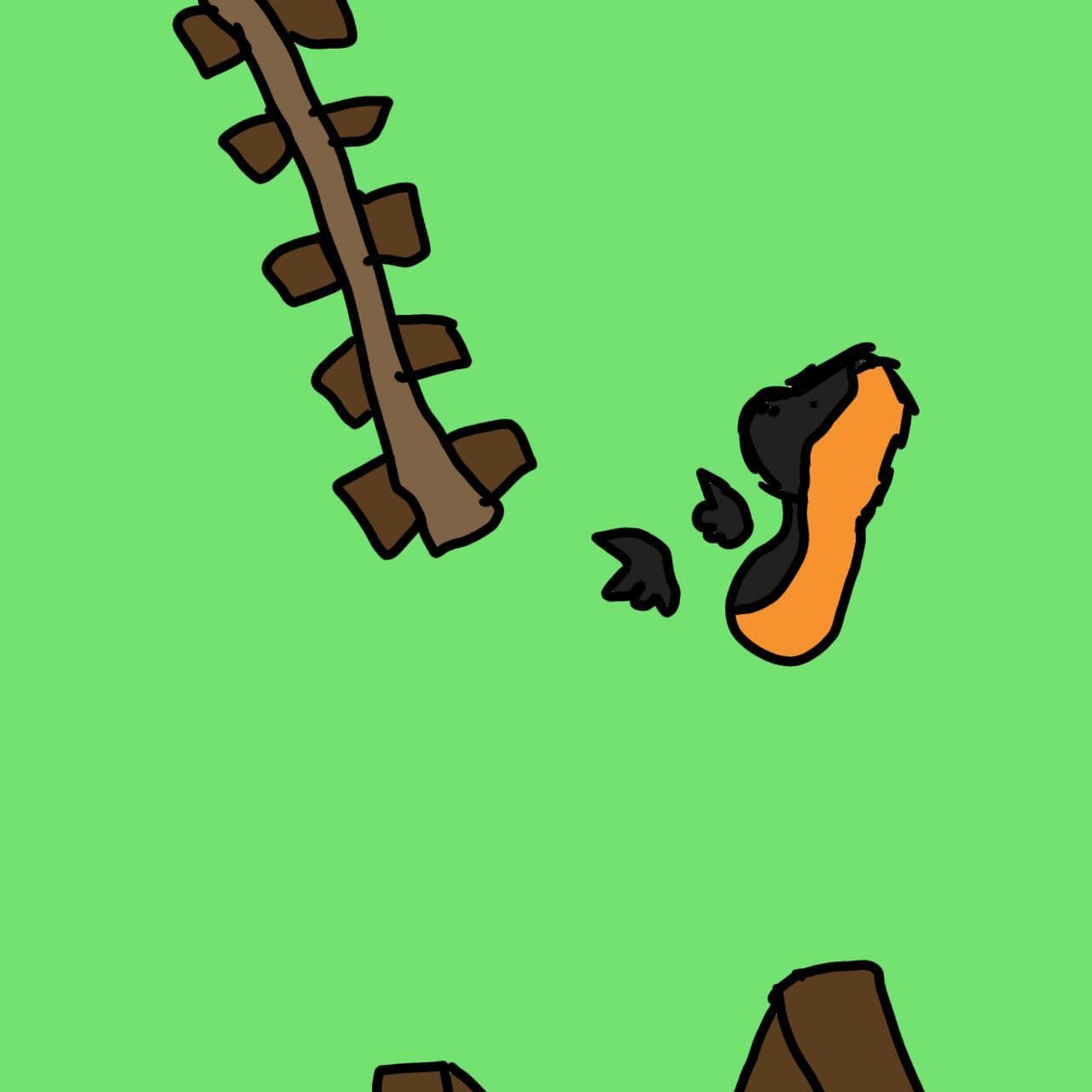 Orangutan Playground
