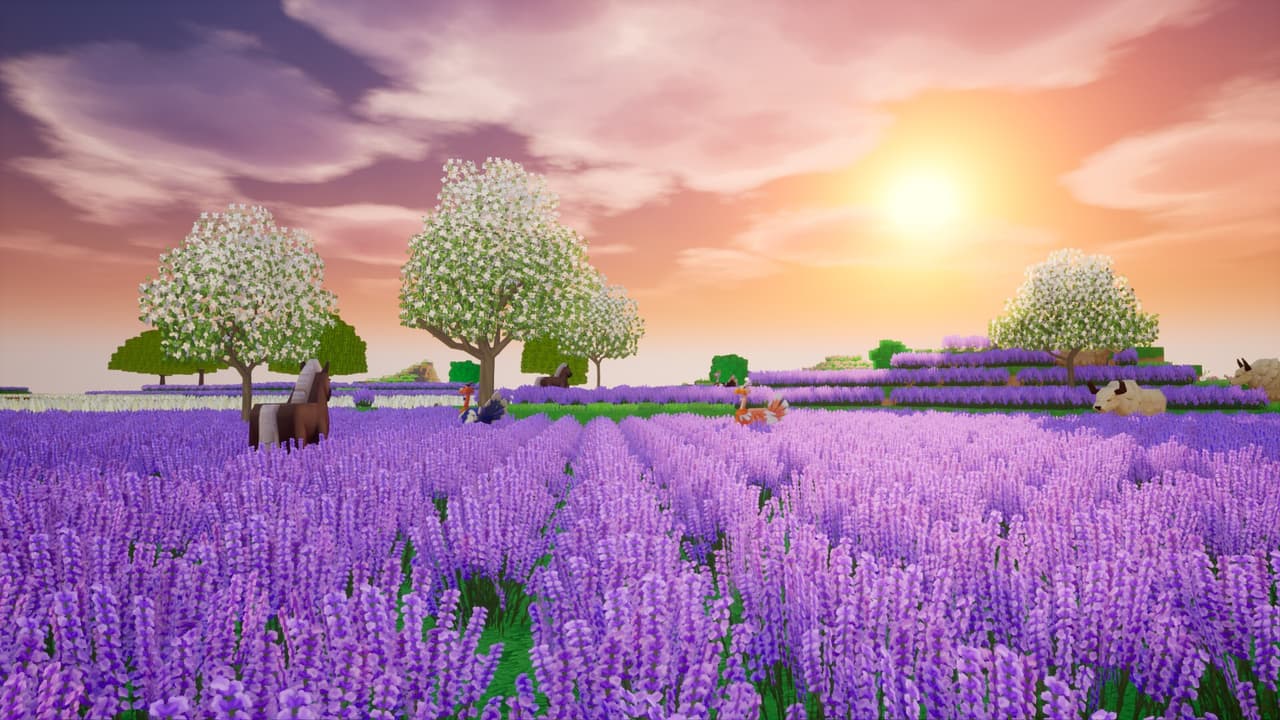 Dragon And Home screenshot 2