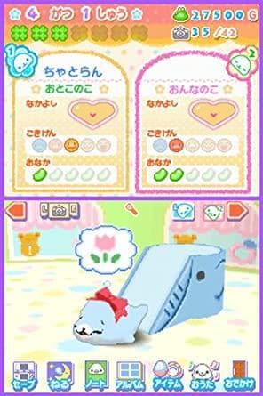 Kupuu!! Mamegoma (DS) screenshot 5