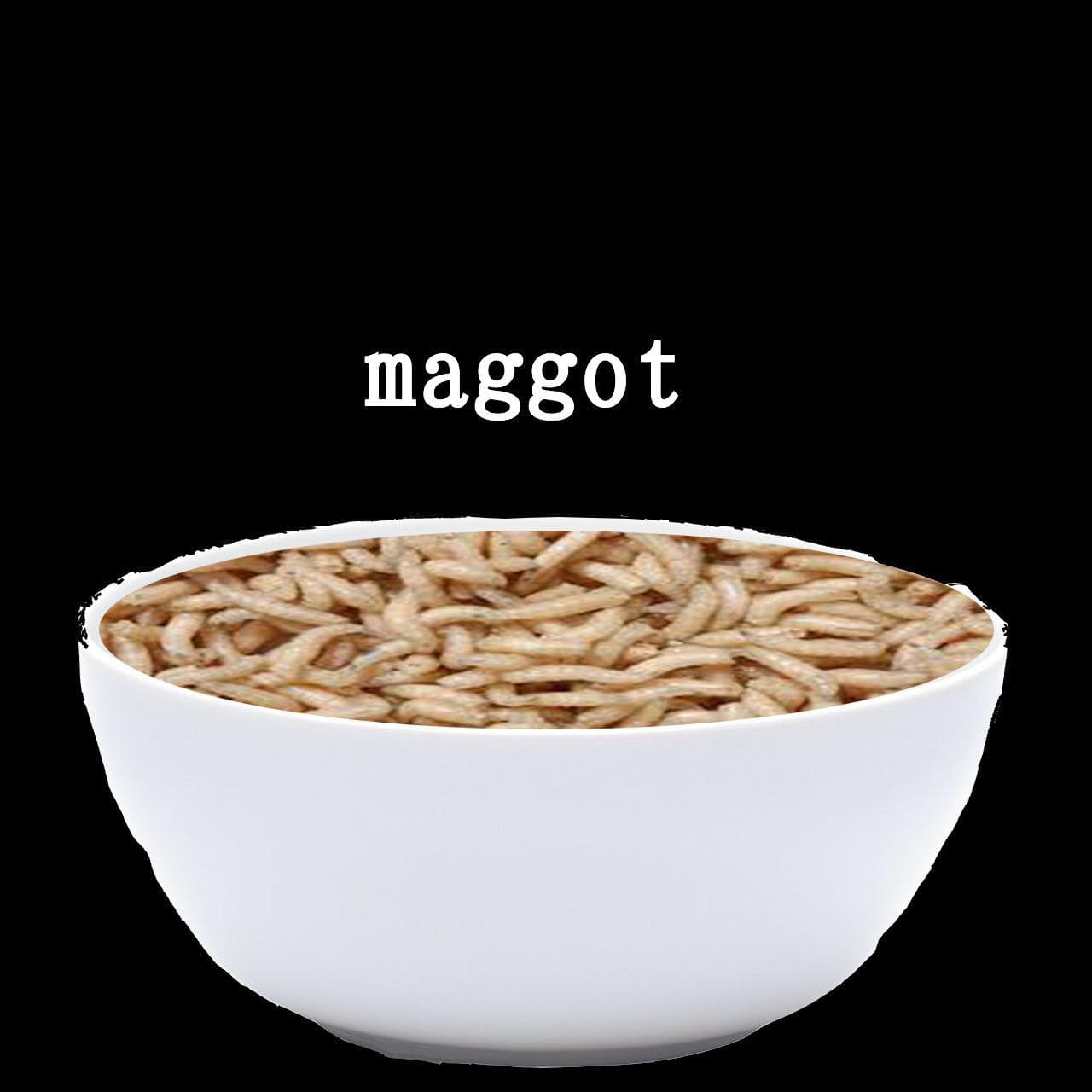 Maggot screenshot 2