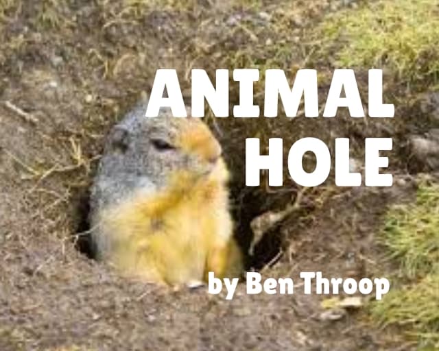 Animal Hole