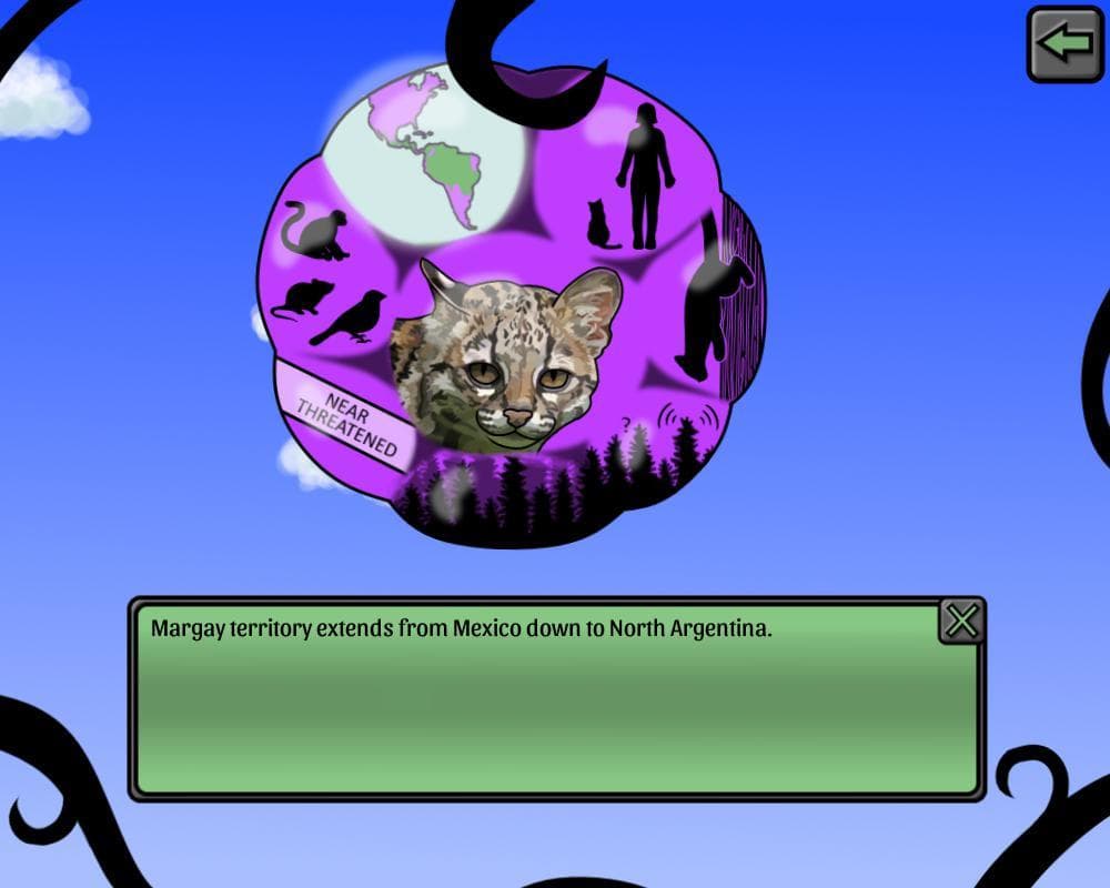 Felidae Phylogenetic Tree