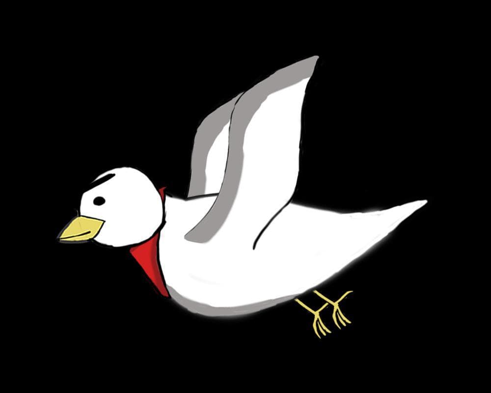 Sammy The Seagull
