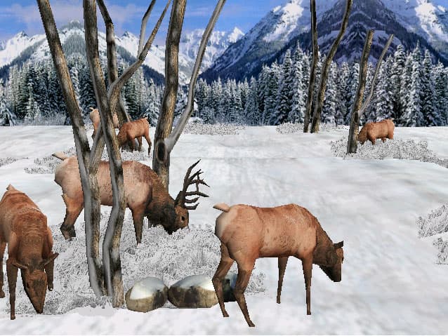 Big Buck Hunter screenshot 3