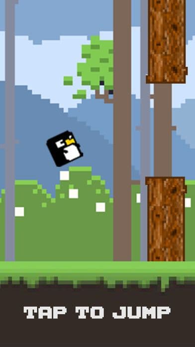 Bird Watch Game Pro