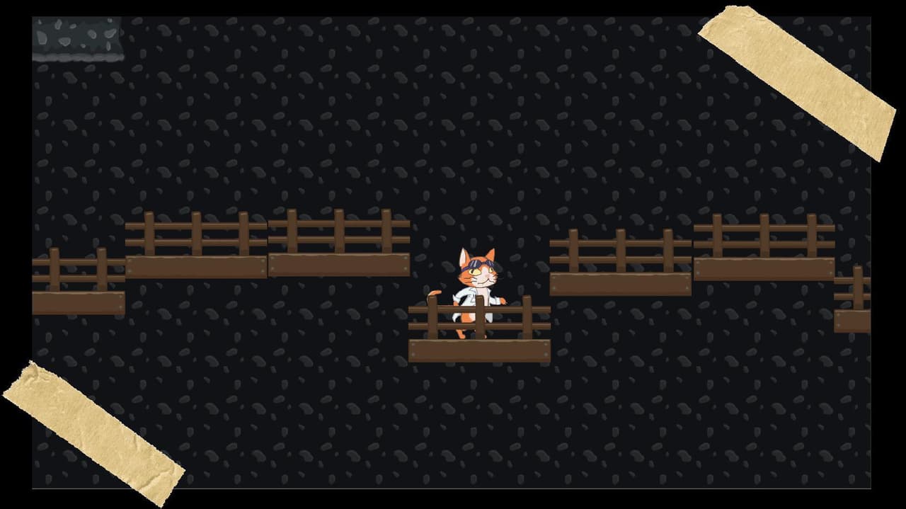 Entropy Scramble: Cats doing science
