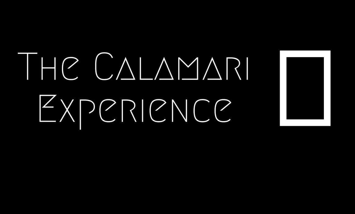 The Calamari Experience