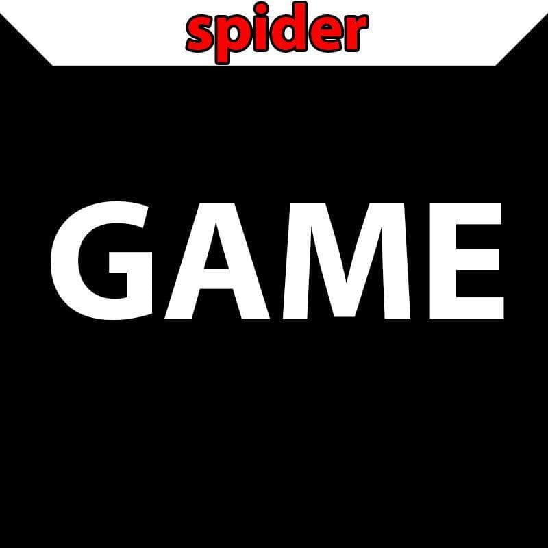 Spider Game (SANS55)