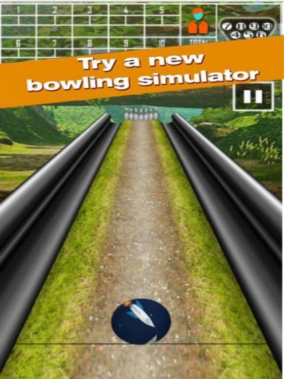 Pin Bowling Game screenshot 3