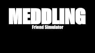 Meddling Friend Simulator