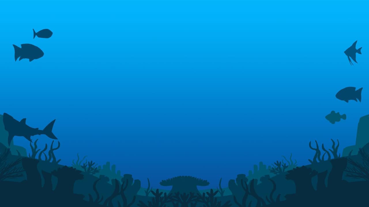 Creature Quest - Sea Turtle Game
