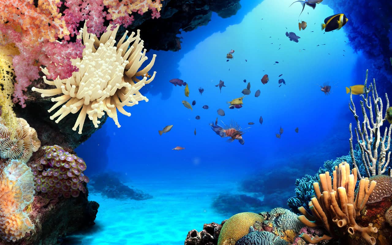 DigiFish Aqua Real 2 screenshot 2