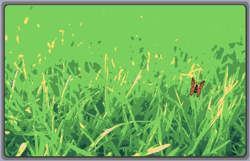 Evolutor screenshot 2