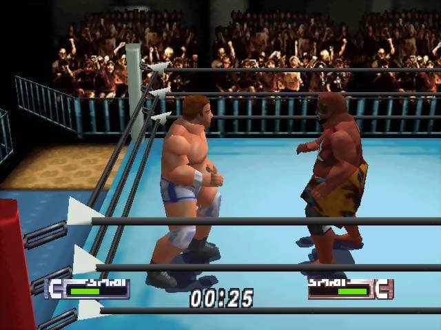 Virtual Pro Wrestling 2: Oudou Keishou screenshot 6
