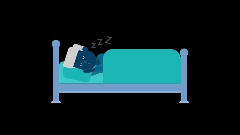 freuds night terrors