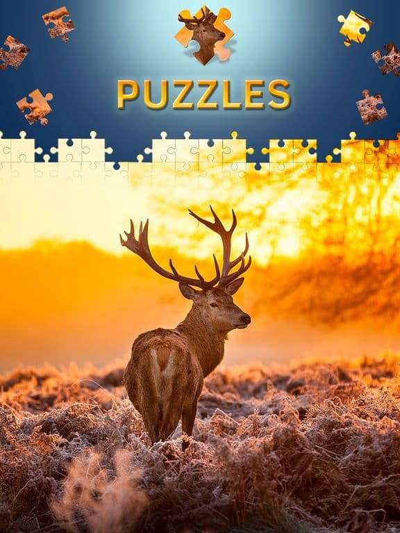 Animals Jigsaw Puzzles 2017 screenshot 2