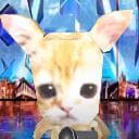 SuperCatWorld