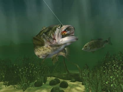 Bass Pro Shops Trophy Bass 2007 screenshot 4