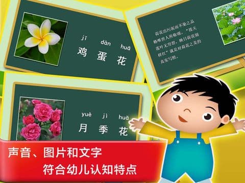 Plant & Flower - Study Chinese Words and Learn Language used in China From Scratch screenshot 4