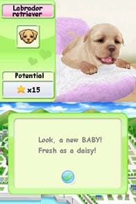 Petz Dogz Talent Show screenshot 4