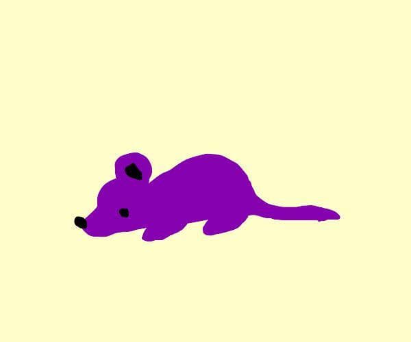 Mouse Mania (itsdravo)