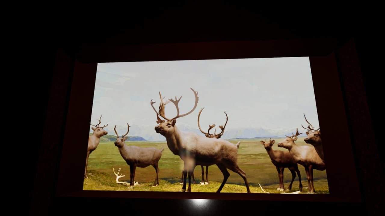 Beyond The Diorama: Caribou World screenshot 2