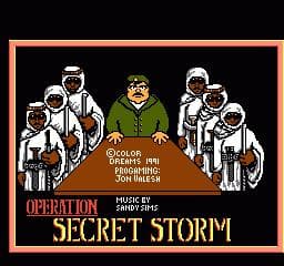 Operation Secret Storm screenshot 2