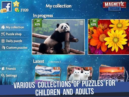 Magnetic Jigsaw