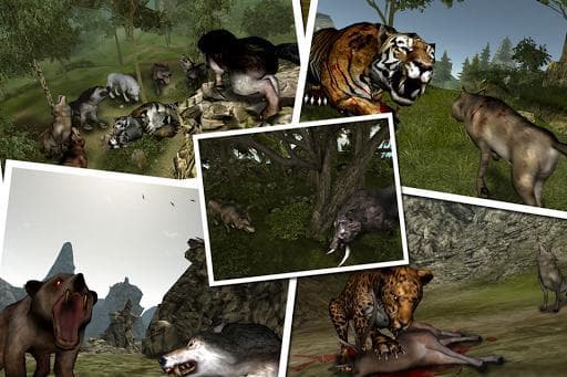 Life Of Wolf 2014 FREE screenshot 3