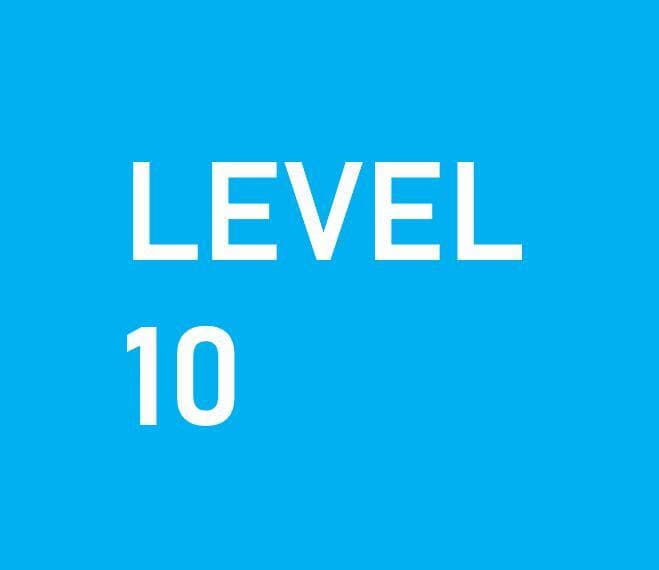 LEVEL 10