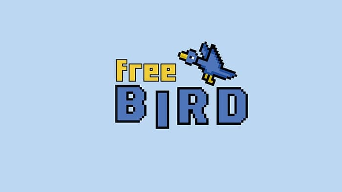 Free Bird (w2ria)