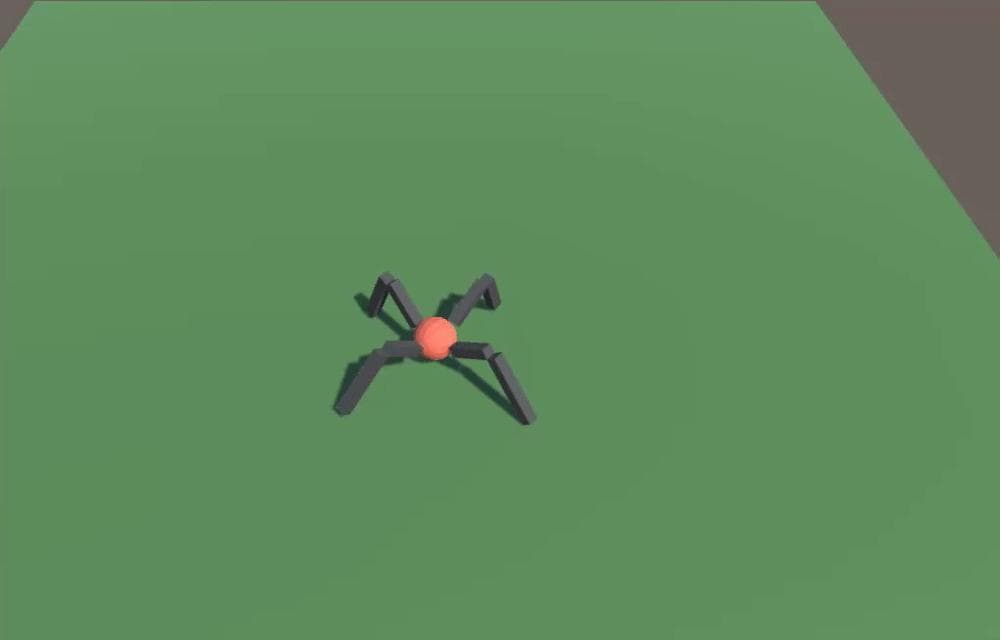 Spider Bot