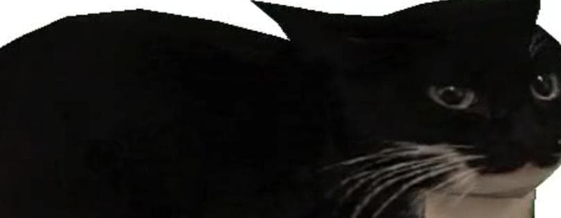 Maxwell The Carryable Cat screenshot 2