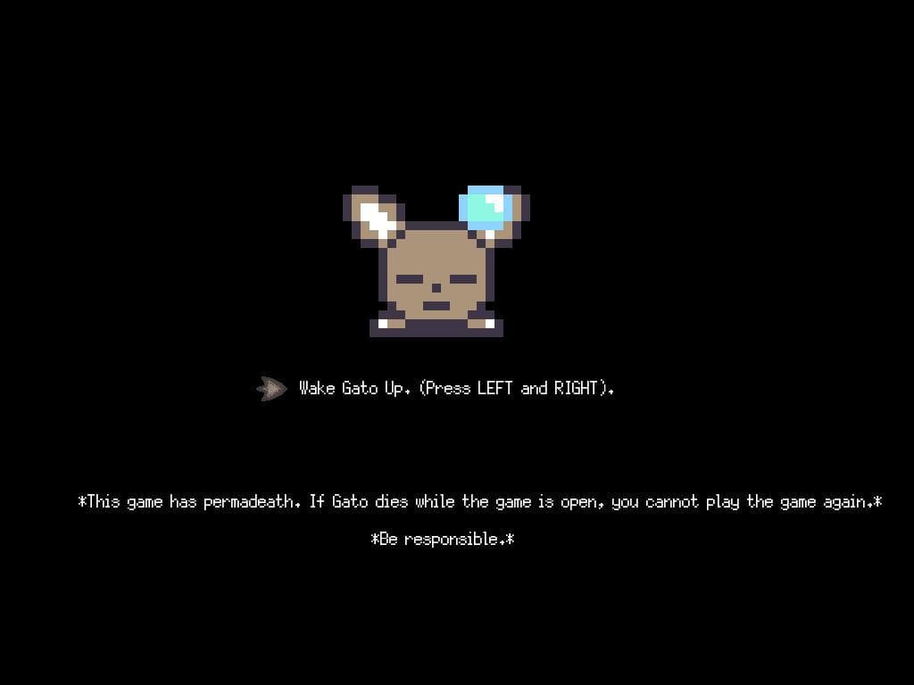 GARDEN FOR GATO screenshot 2