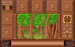 Fate: Gates of Dawn screenshot 6