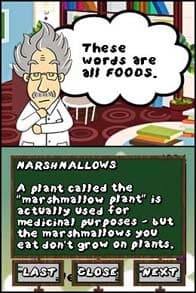Mega Words