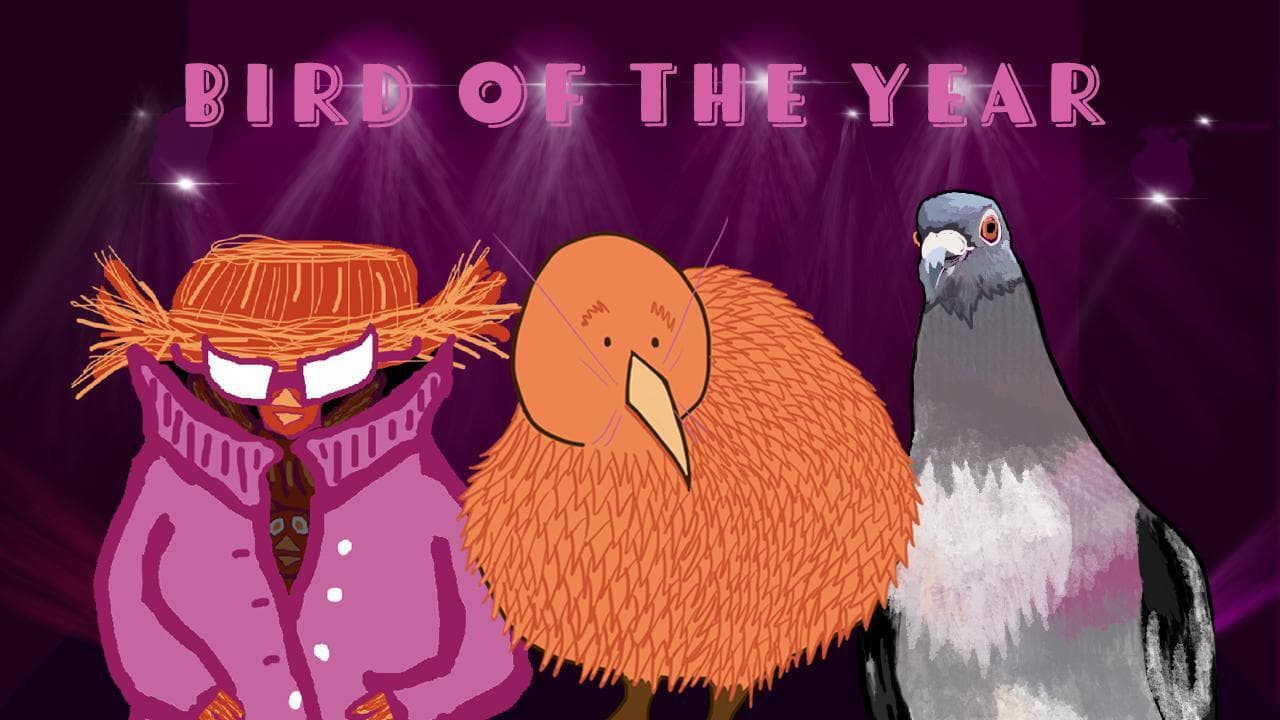 Bird of the Year screenshot 2