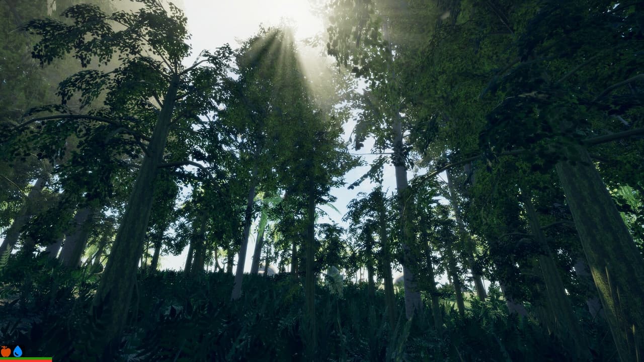 The Island