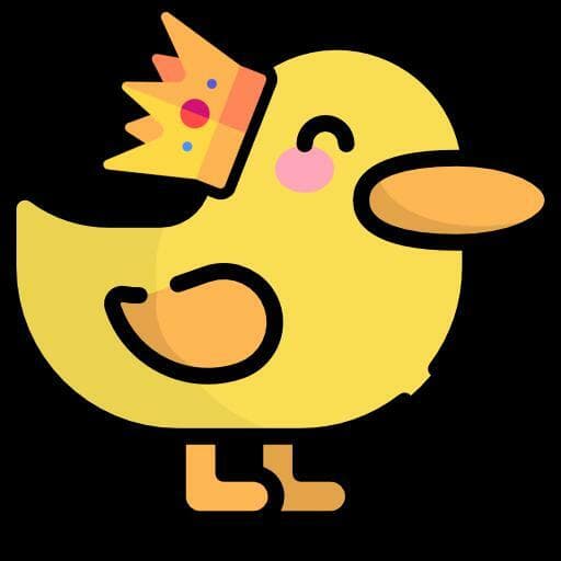 Your Duckiness