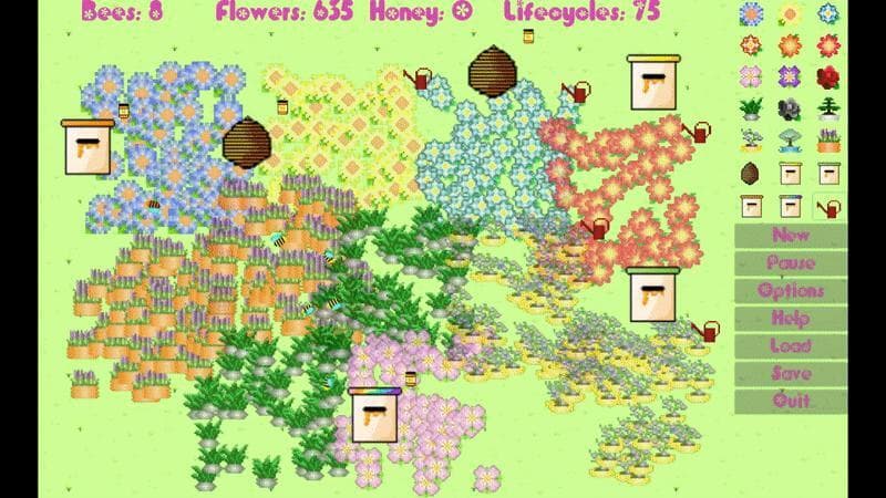 Beetopia