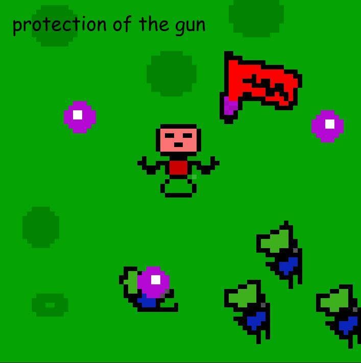protection of the gun