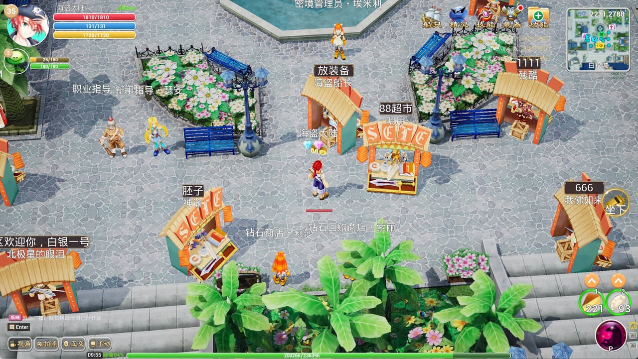 海盗纹章 screenshot 2