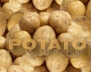 Potato Revenge