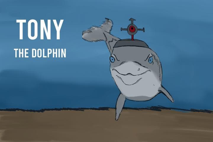 Tony The Dolphin