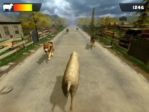 Sheep Racing Adventure in The Tiny Virtual Pet Town